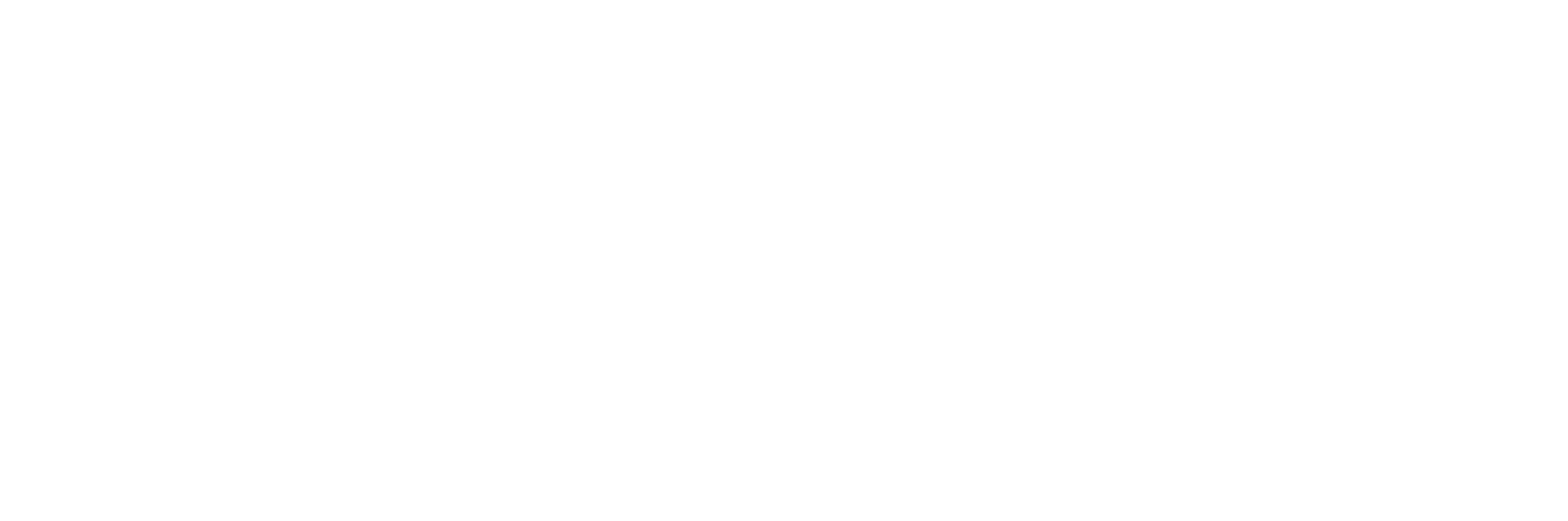BIIRDCHANDISE